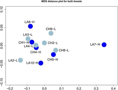 Comparative Transcriptome Analysis of Milk Somatic Cells During Lactation Between Two Intensively Reared Dairy Sheep Breeds